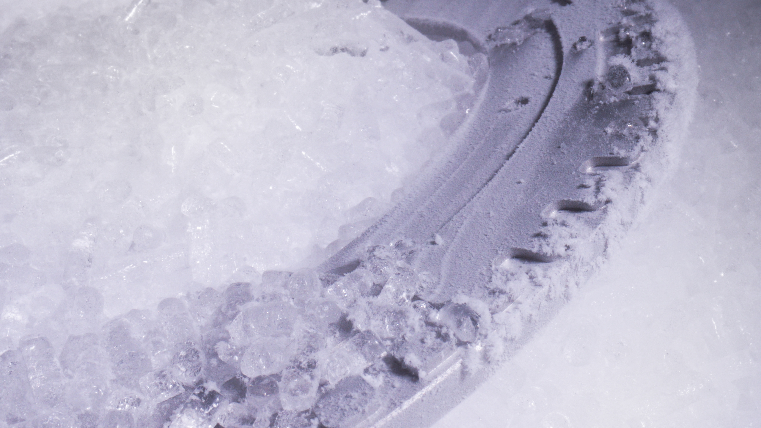 Frozen Encoder Flux